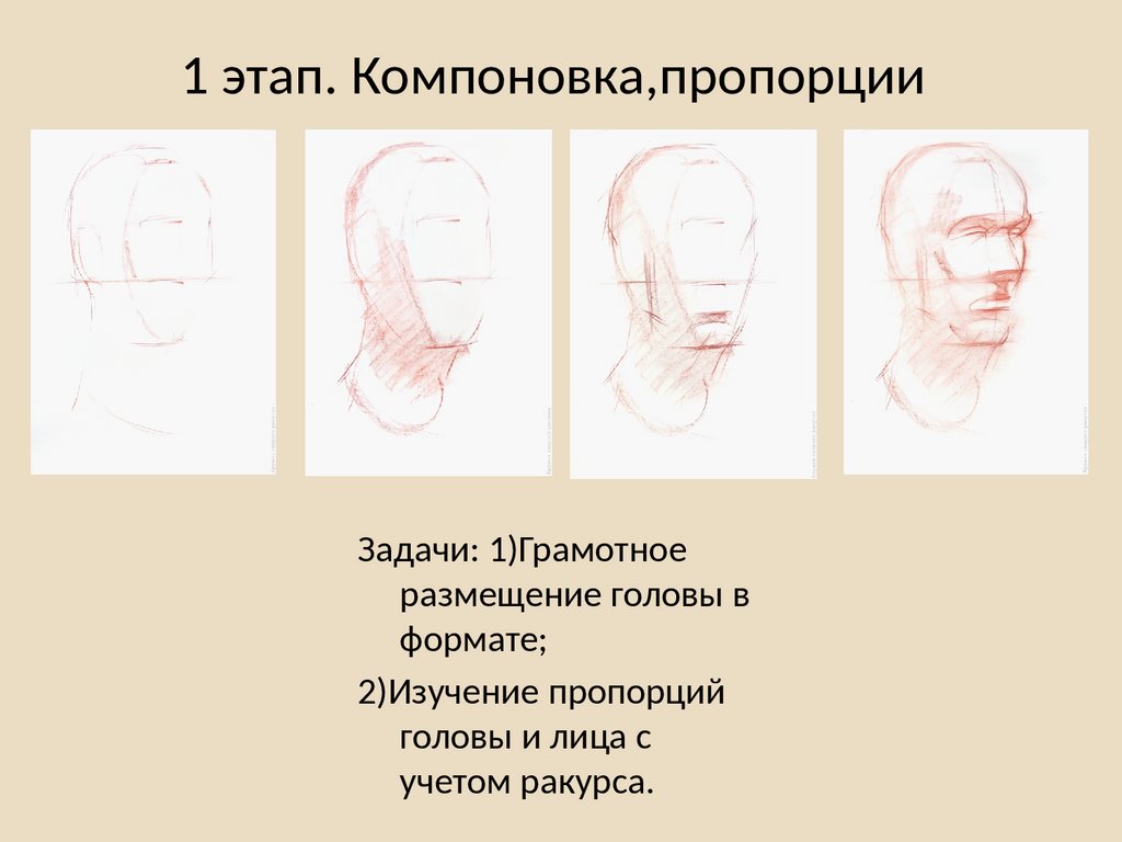 Установите последовательность этапов работы ученого историка чтобы увидеть рисунок