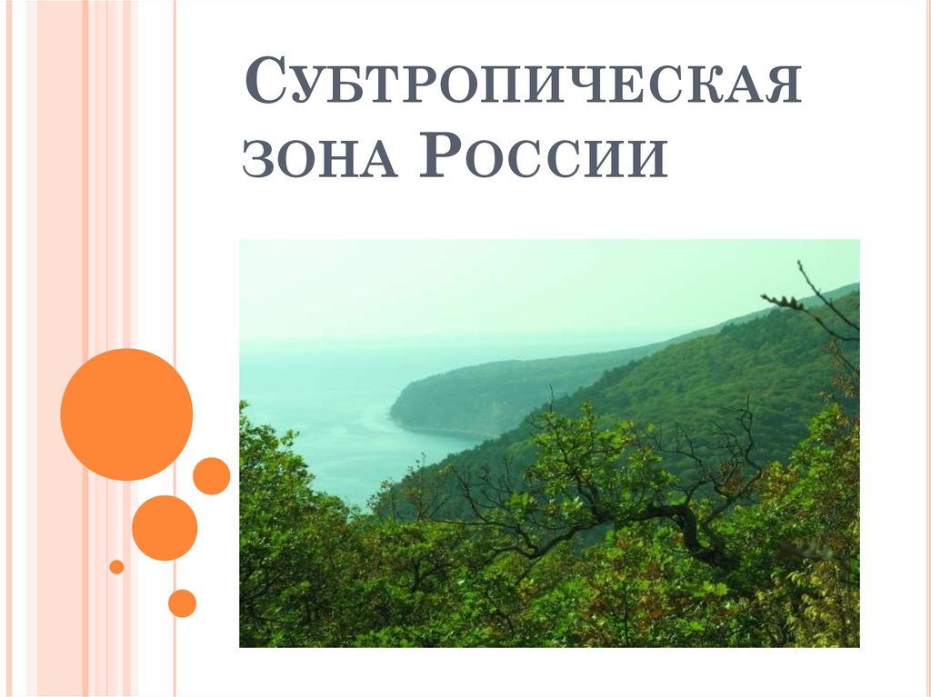 Презентация на тему зона субтропиков