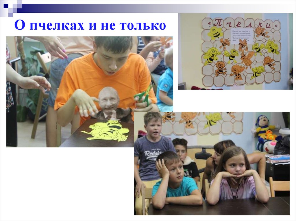 О пчелках и не только