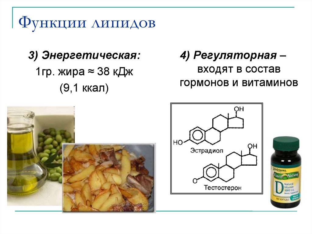 Простые липиды жиры