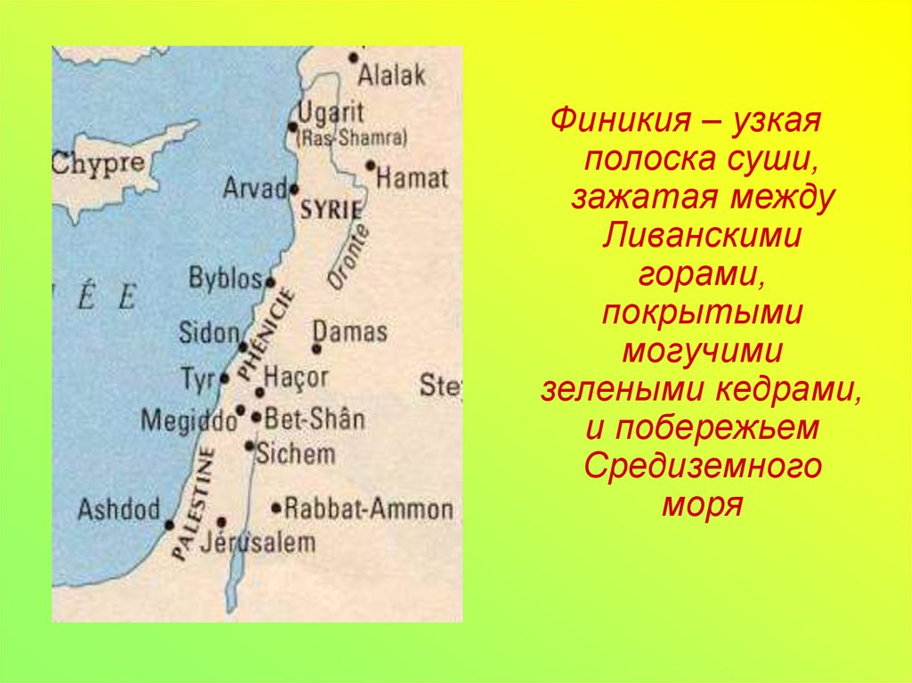 Море в финикии