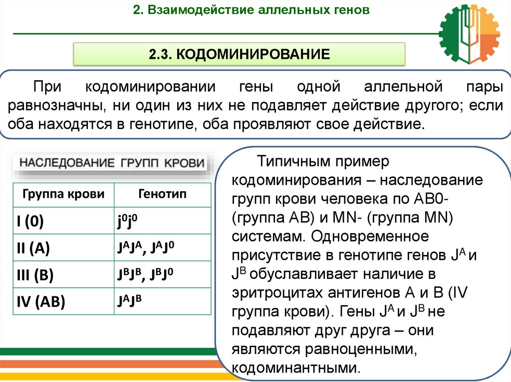 Взаимодействие генов примеры