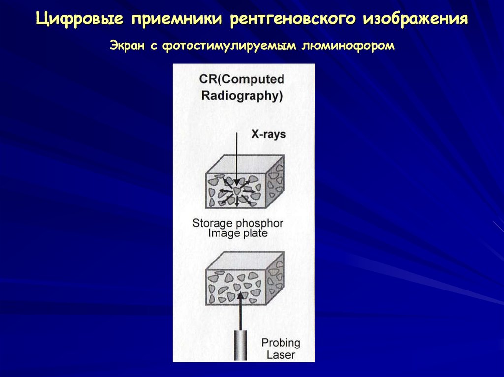 Пластинка пленка покрытая люминофором для преобразования невидимого рентгеновского изображения