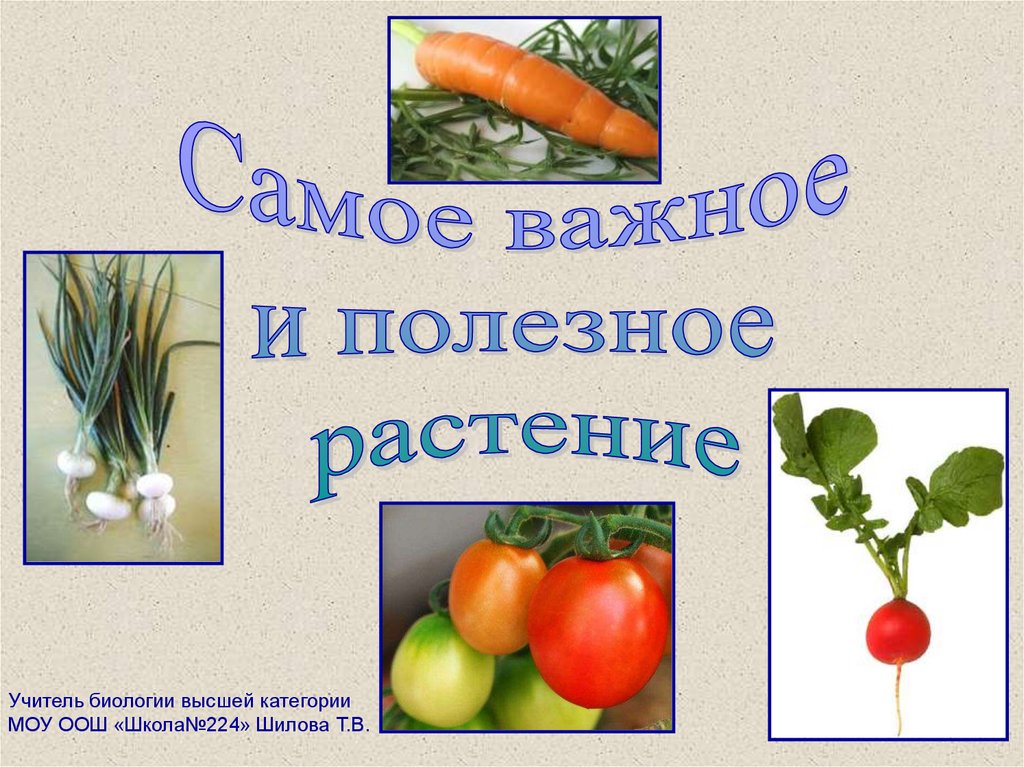 Значение культурных растений в жизнедеятельности человека технология 5 класс презентация