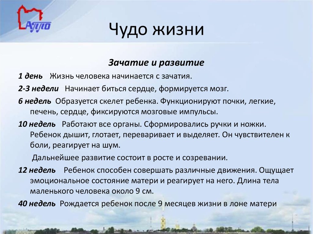 Примеры из жизни. Чудо пример из жизни. Чудеса в нашей жизни сочинение. Примеры чуда в жизни для сочинения.