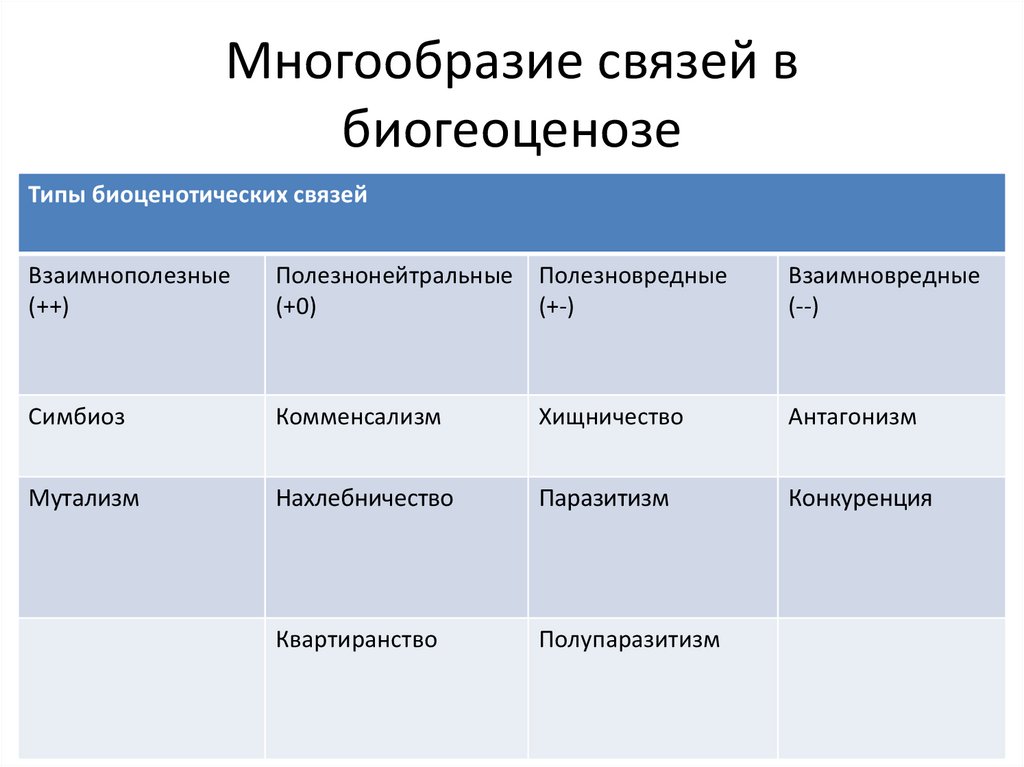 Многообразие типов. Типы биоценотических связей схема. Многообразие связей в биогеоценозе. Типы связей в биогеоценозе. Виды взаимоотношений в экосистеме схема.