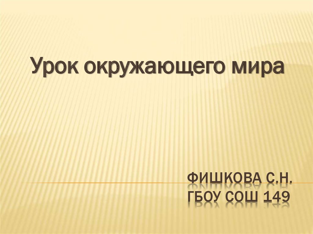 фИшкова С.н. Гбоу сош 149