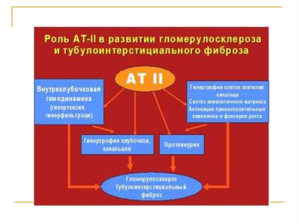 Органы мишени при сахарном диабете. Внутриклубочковая гипертензия. Органы мишени при артериальной гипертонии.