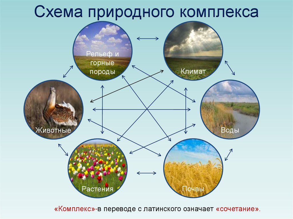 Влияние на природные комплексы. Биосфера природного комплекса. Схема природного комплекса. Компоненты природного комплекса. Природные комплексы географической оболочки.