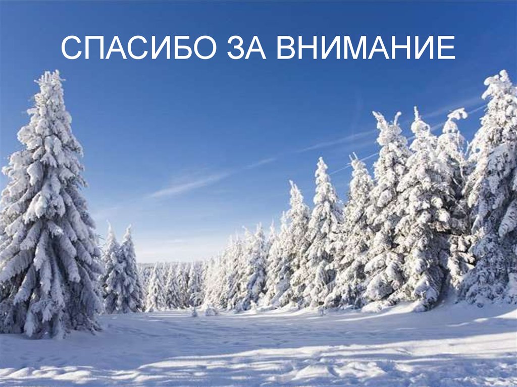 СПАСИБО ЗА ВНИМАНИЕ
