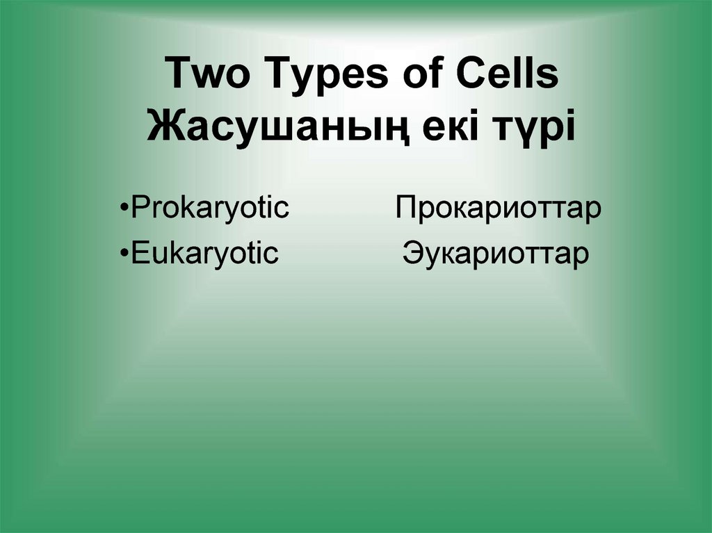 Two Types of Cells Жасушаның екі түрі
