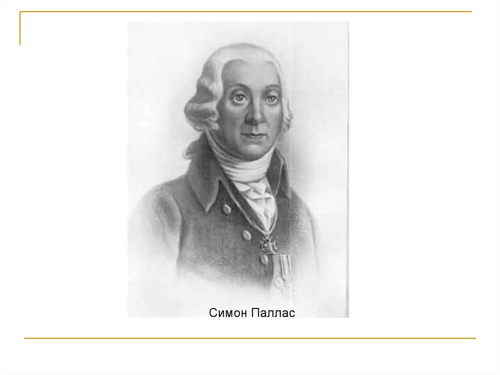 Паллас. Петр Симон Паллас. Портрет Петер Симон Паллас. П. С. Паллас (1741-1811). Портрет Палласа Петра Симона.