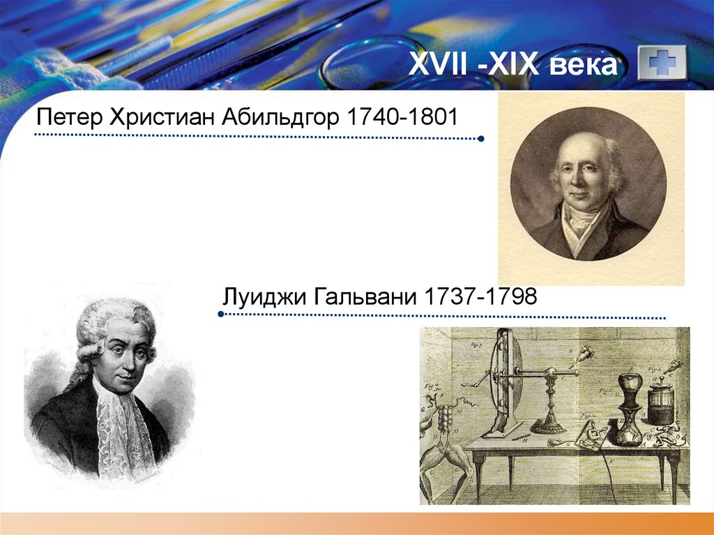 Xvi xix веков