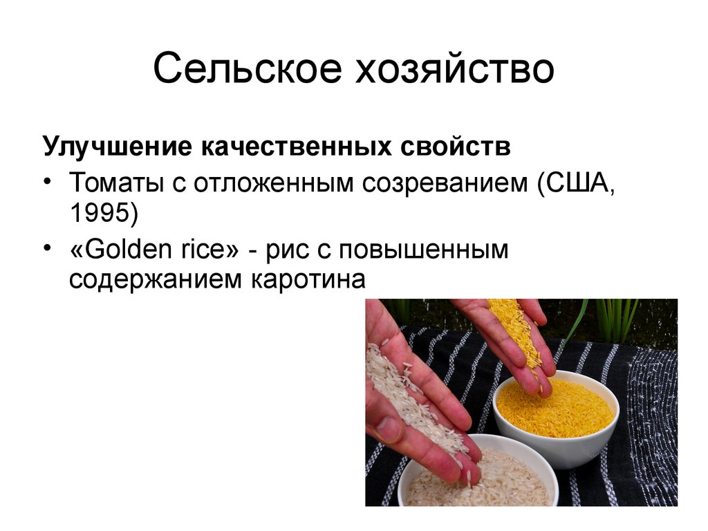 Сельское хозяйство