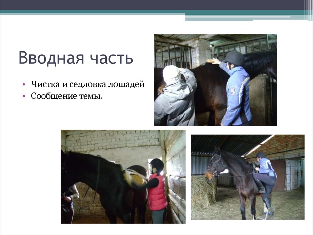 Вводная часть