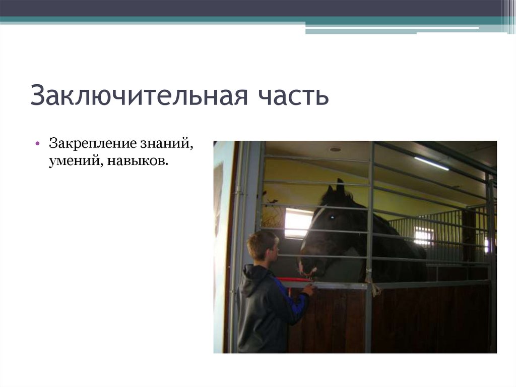 Заключительная часть