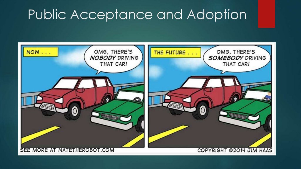 Public Acceptance and Adoption