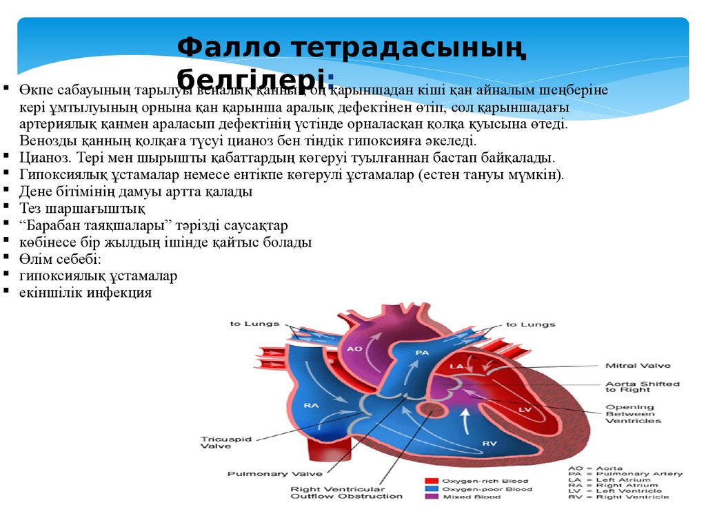 Кіші қан айналым шеңбері. Фалло эмираты. Aqranulositoz.