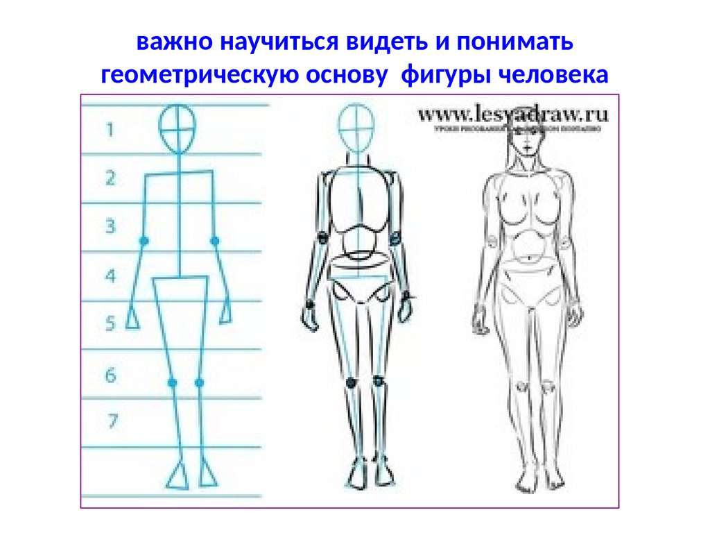 Геометрическая форма лежащая в основе изображения руки