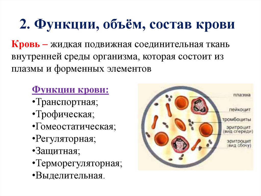 Внутренняя среда организма тест 8