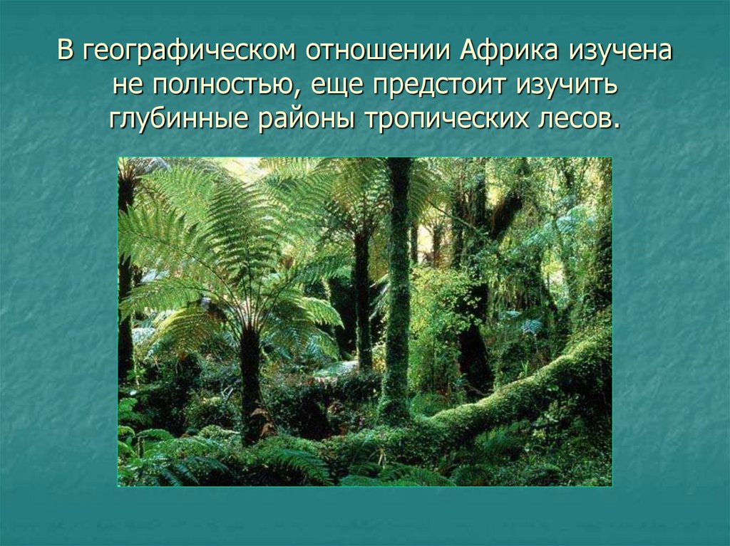 Географическое положение в африке тропики