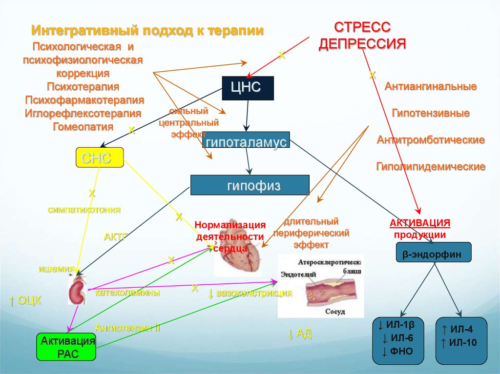 Therapy for stress. Терапия стресса.