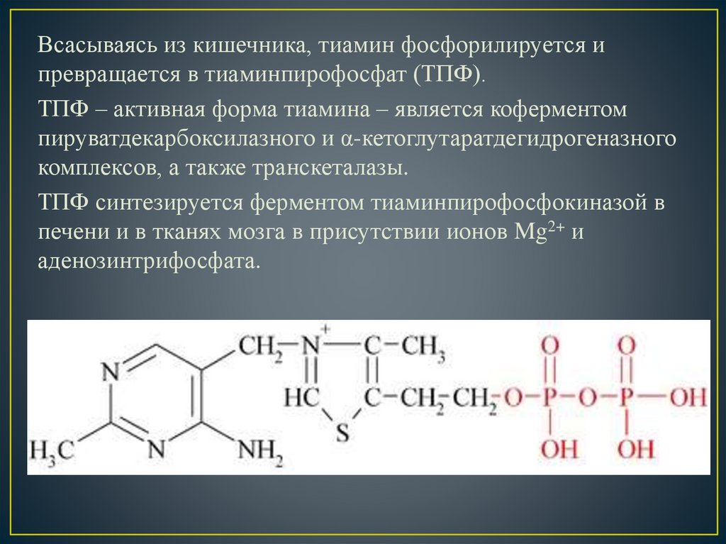 Фолиевая тиамин. Витамин б1 кофермент. Активная форма витамина б1. Тиамин кофермент. Тиаминпирофосфат (ТПФ).