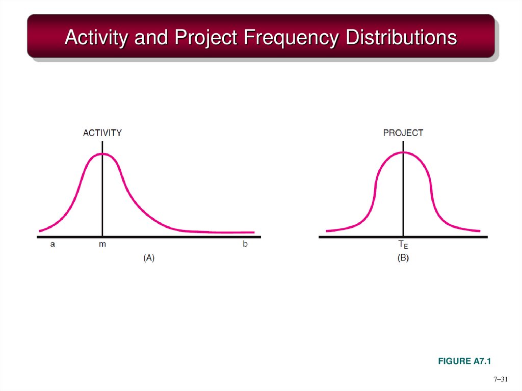 Activity and Project Frequency Distributions