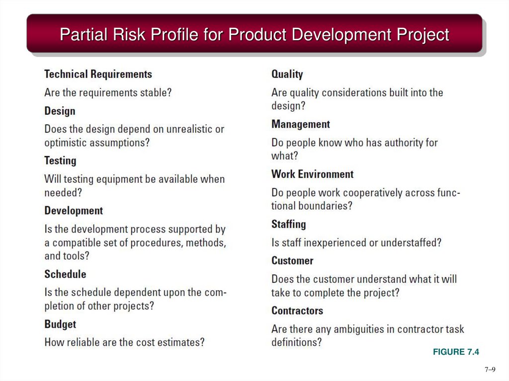 Partial Risk Profile for Product Development Project