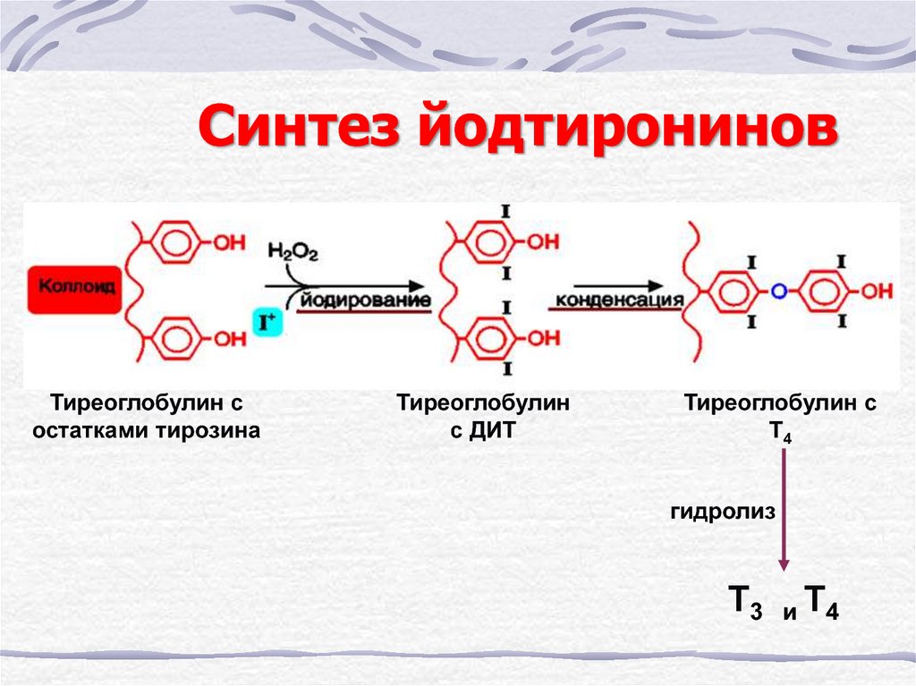 Синтез йодтиронинов