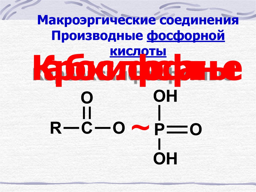 Макроэргические соединения Производные фосфорной кислоты