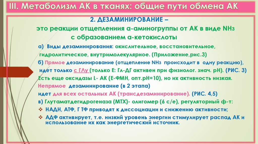 Путем обмена. Общая характеристика общих путей обмена АК. Дать краткое определение энергетическим путям метаболизма.