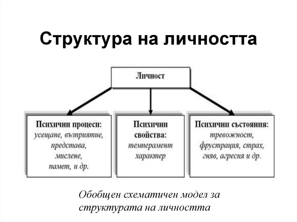 Структура способностей