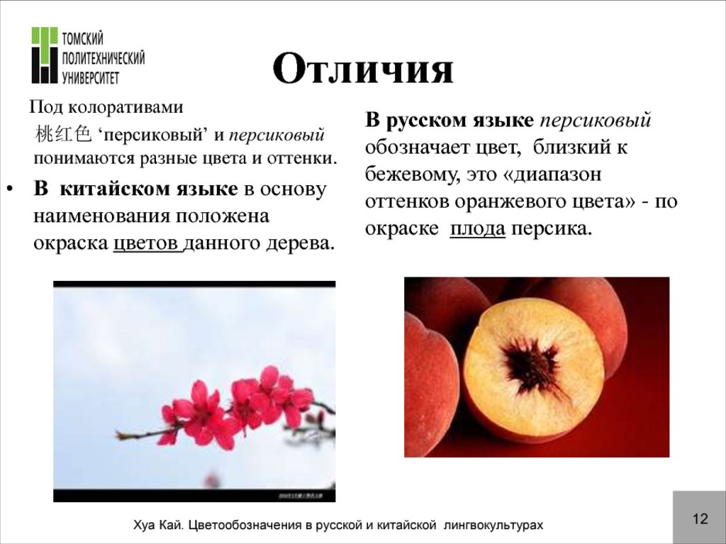Разницы подов. Персик на языке цветов. Цветы Сакуры и персика отличия. Различия деревьев персика. Отличие Сакуры от вишни.