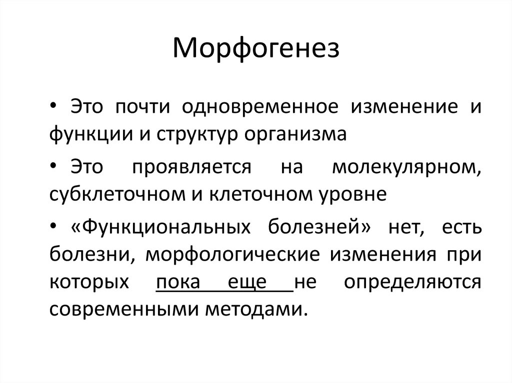 Морфогенез опухоли