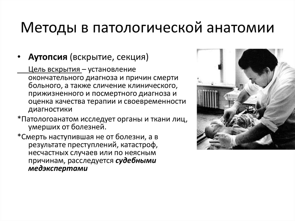 История патологии. Методы патологической анатомии. Основы общей патологии. Задачи и методы патологической анатомии. Метод исследования в патологической анатомии.