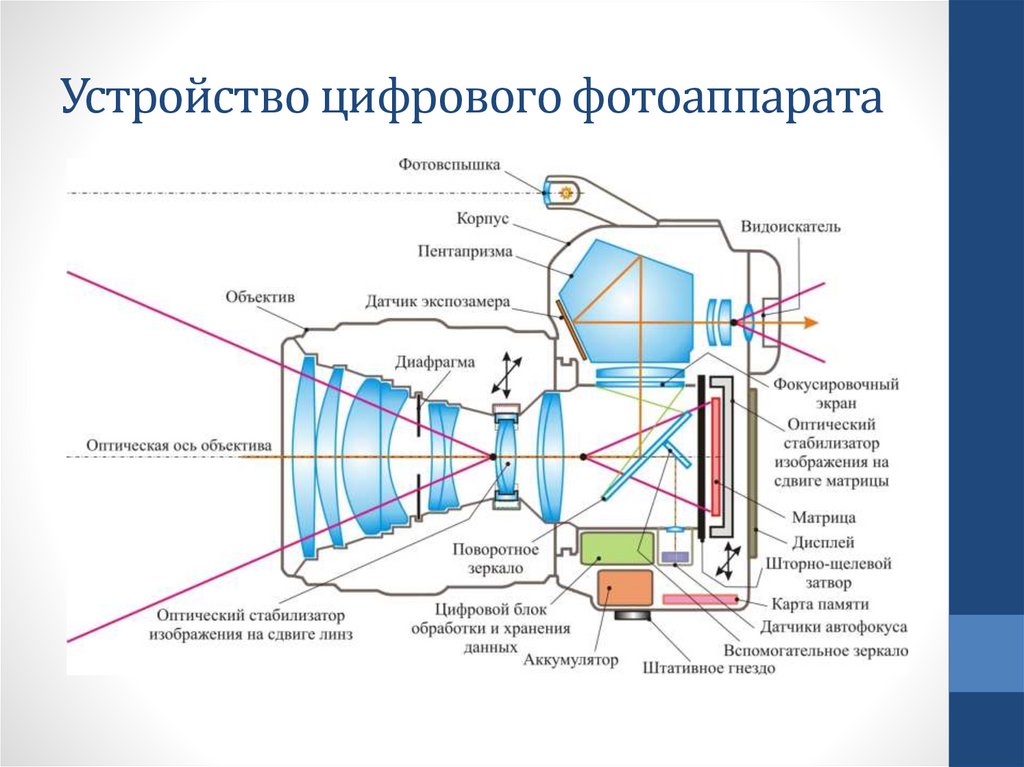 Какое изображение получается на пленке в фотоаппарате