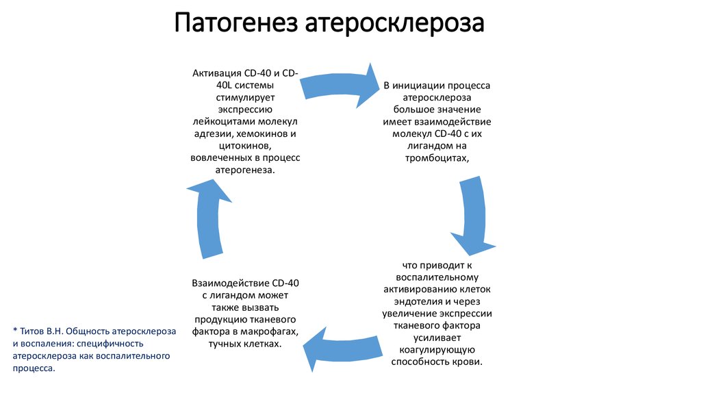 Патофизиология атеросклероза презентация