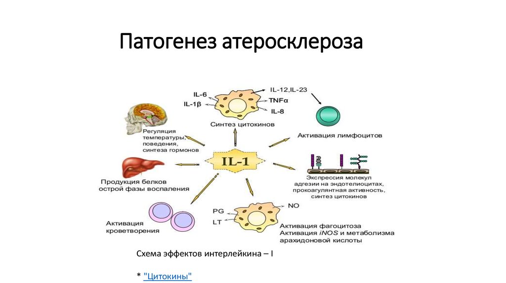 Патогенез лейкозов схема