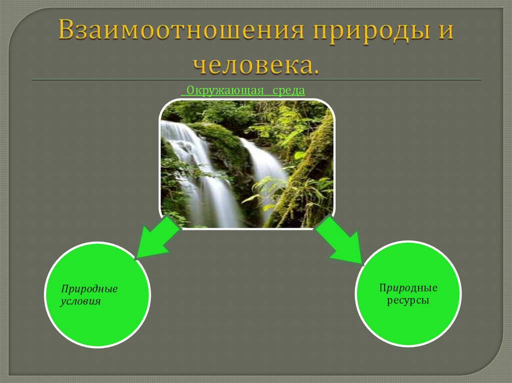 Проект связь человека с природой