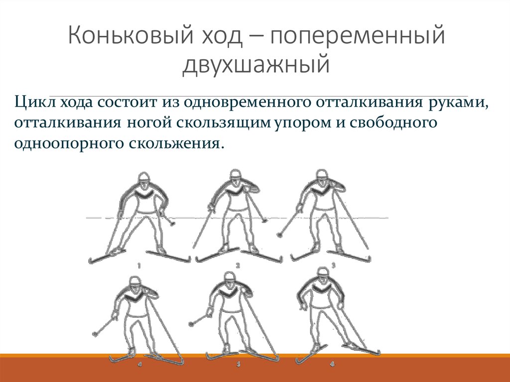 Передвижение одношажным ходом. Одновременный одношажный коньковый ход. Одновременный двухшажный коньковый ход. Попеременный двухшажный коньковый ход фазы. Попеременный одношажный коньковый ход.