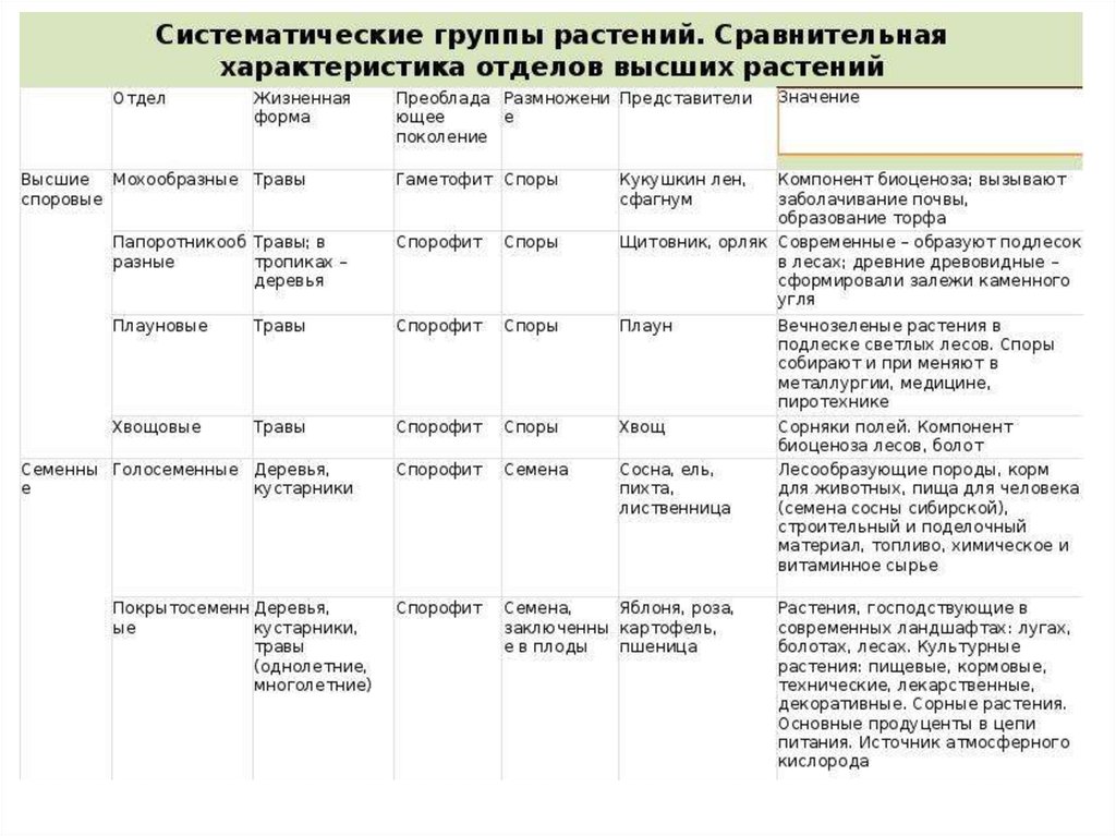 Заполните таблицу признаки. Таблица биология 6 класс характеристики отделов растений. Характеристика отделов растений таблица 5 класс. Характеристика отделов растений 7 класс биология таблица. Сравнительная характеристика отделов растений таблица.