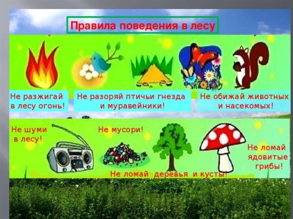 Презентация природа и наша безопасность 3 класс школа россии