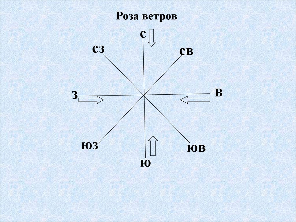 Рисунок розы ветров по географии 6 класс