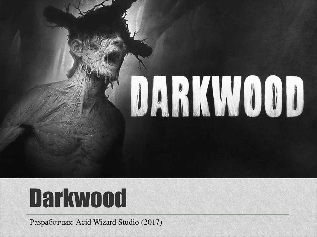 Acid wizard studio. Darkwood трейлер. Дарквуд стим.