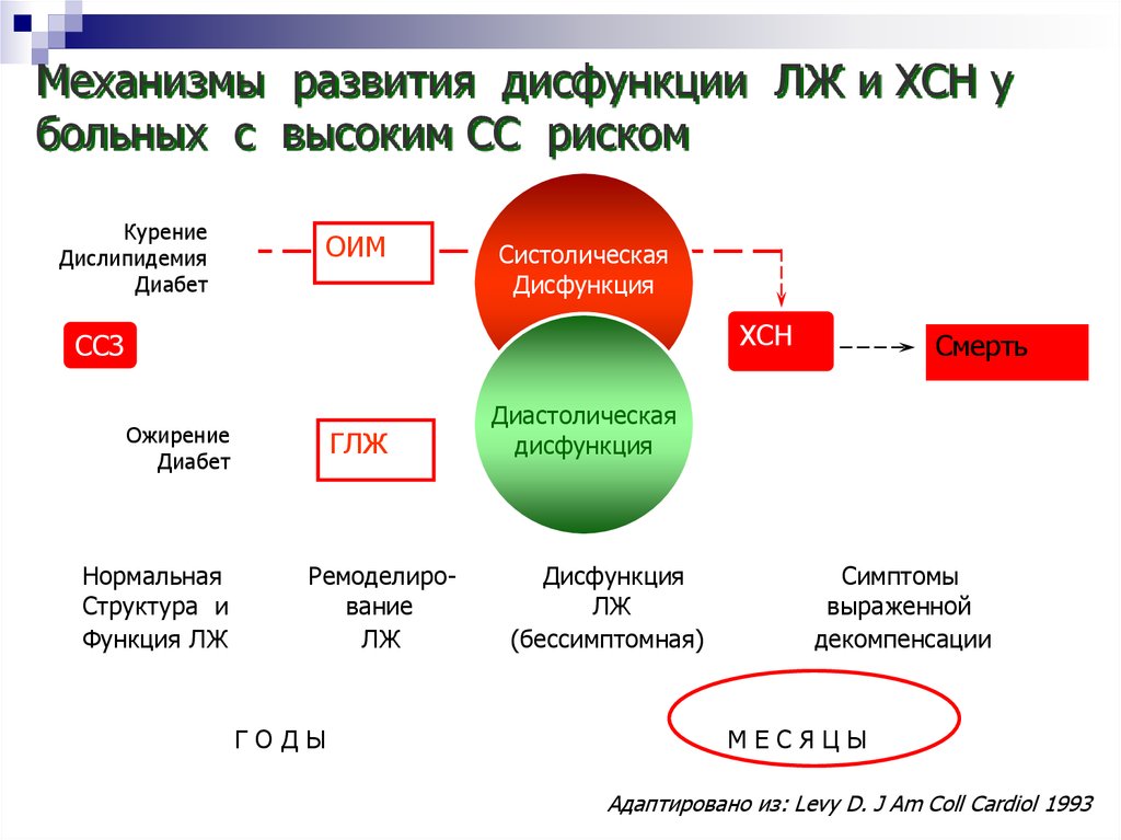 Систолическая дисфункция