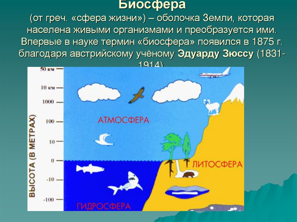 География 6 класс биосфера земная оболочка презентация
