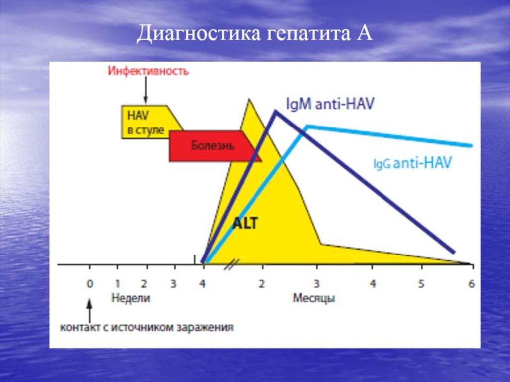 Диагностика гепатита А