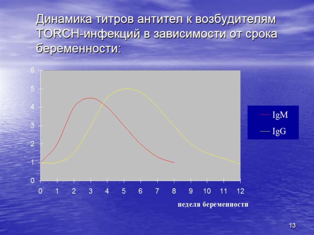 Динамика титров антител к возбудителям TORCH-инфекций в зависимости от срока беременности: