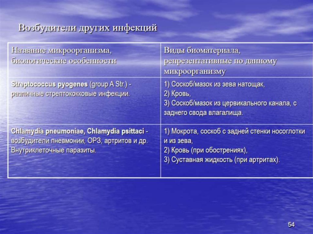 Возбудители других инфекций